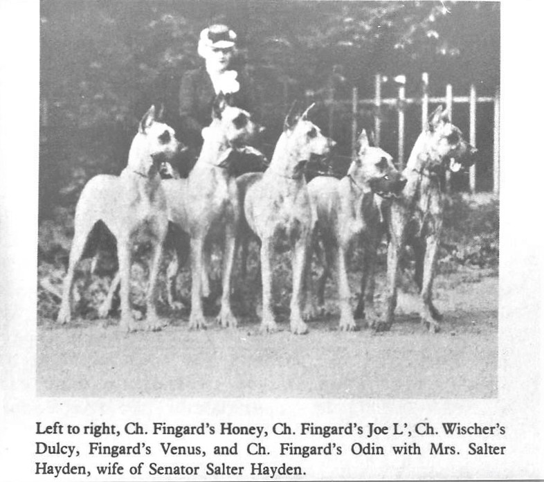 Fingards